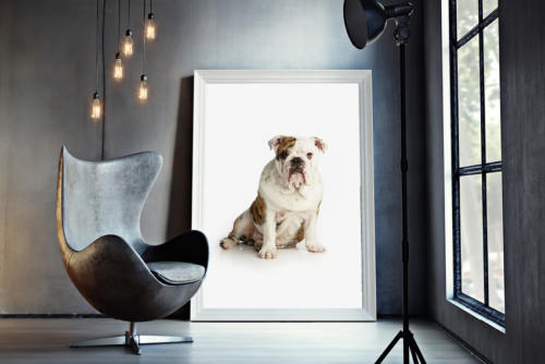 dataprint_fotoprints_posters_behang 7