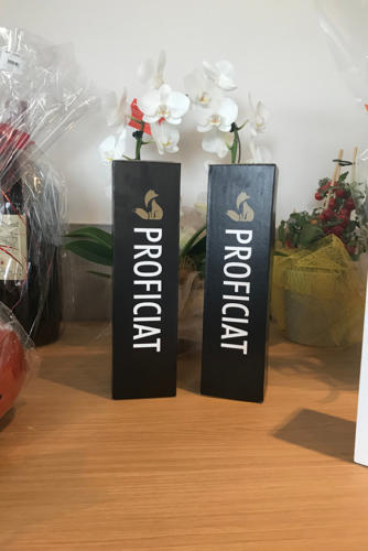 realisaties de rare vos4